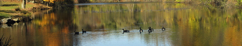 Westchester Restaurant Guide WestchesterRestaurantGuide.com